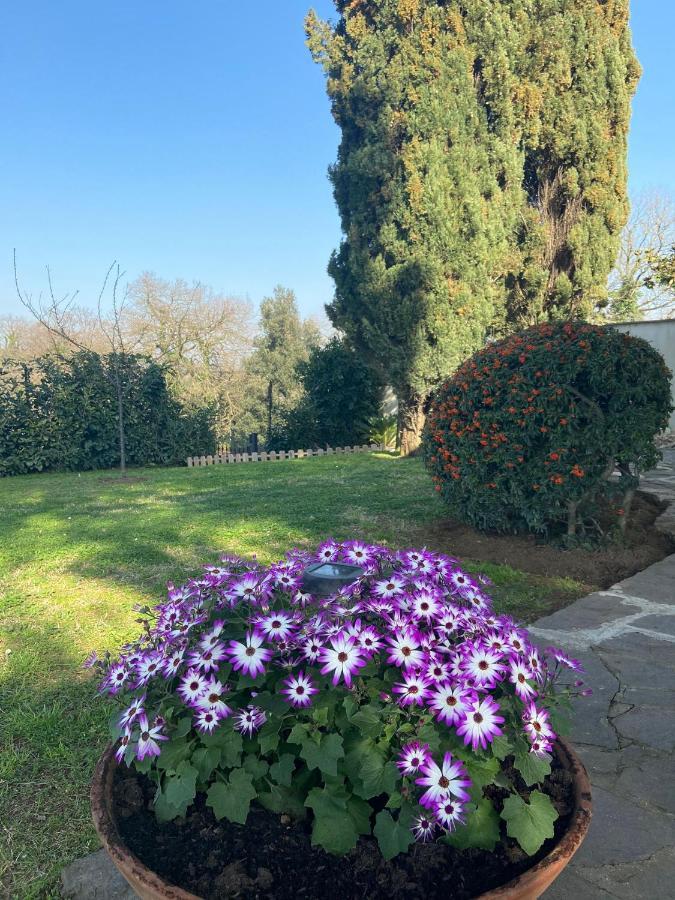 רומא Villa Del Rubbio מראה חיצוני תמונה